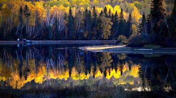 The coziest places for senior vacationers in America