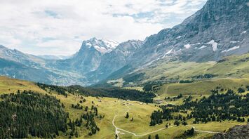 Alps mountain filled with trees during daytime