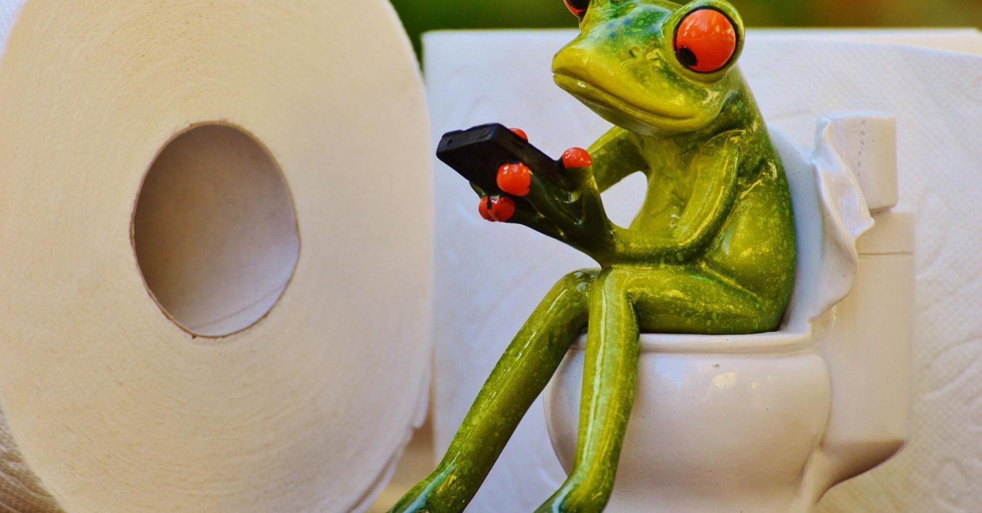 Frog sitting on the toilet with a phone