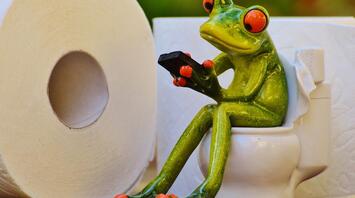 Frog sitting on the toilet with a phone