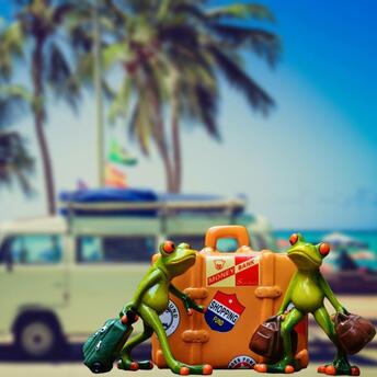 Two frogs with their luggage are going on a trip