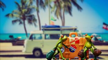 Two frogs with their luggage are going on a trip