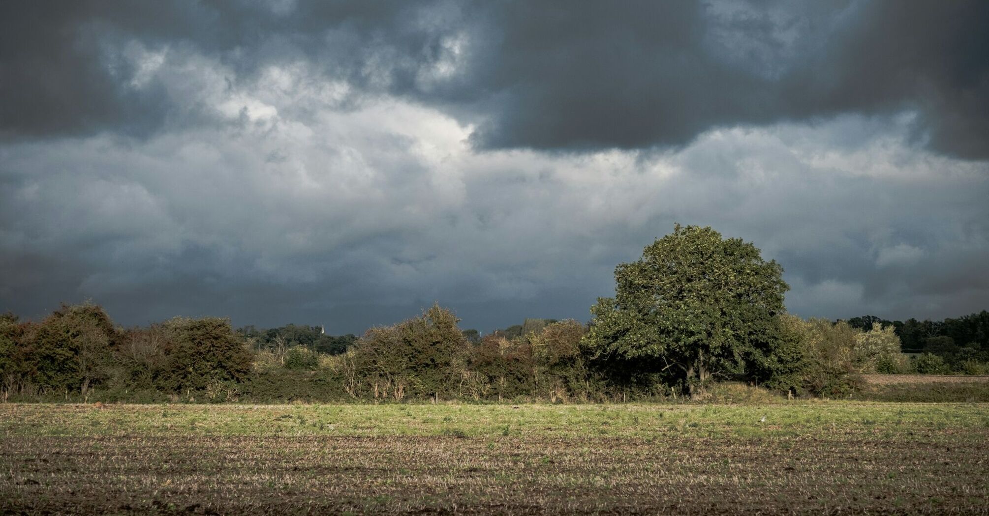 Leicestershire field under cloudy skies
