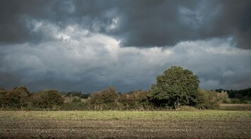 Leicestershire field under cloudy skies