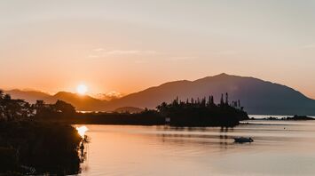 Silhouette of trees near body of water during sunset