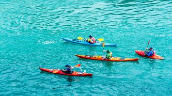 several persons riding kayaks on body of water during daytime