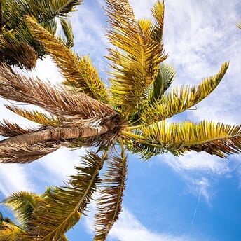 Best Miami Beach Hotels and Resorts 2024