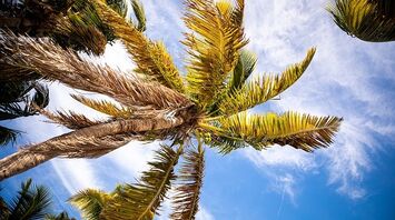 Best Miami Beach Hotels and Resorts 2024