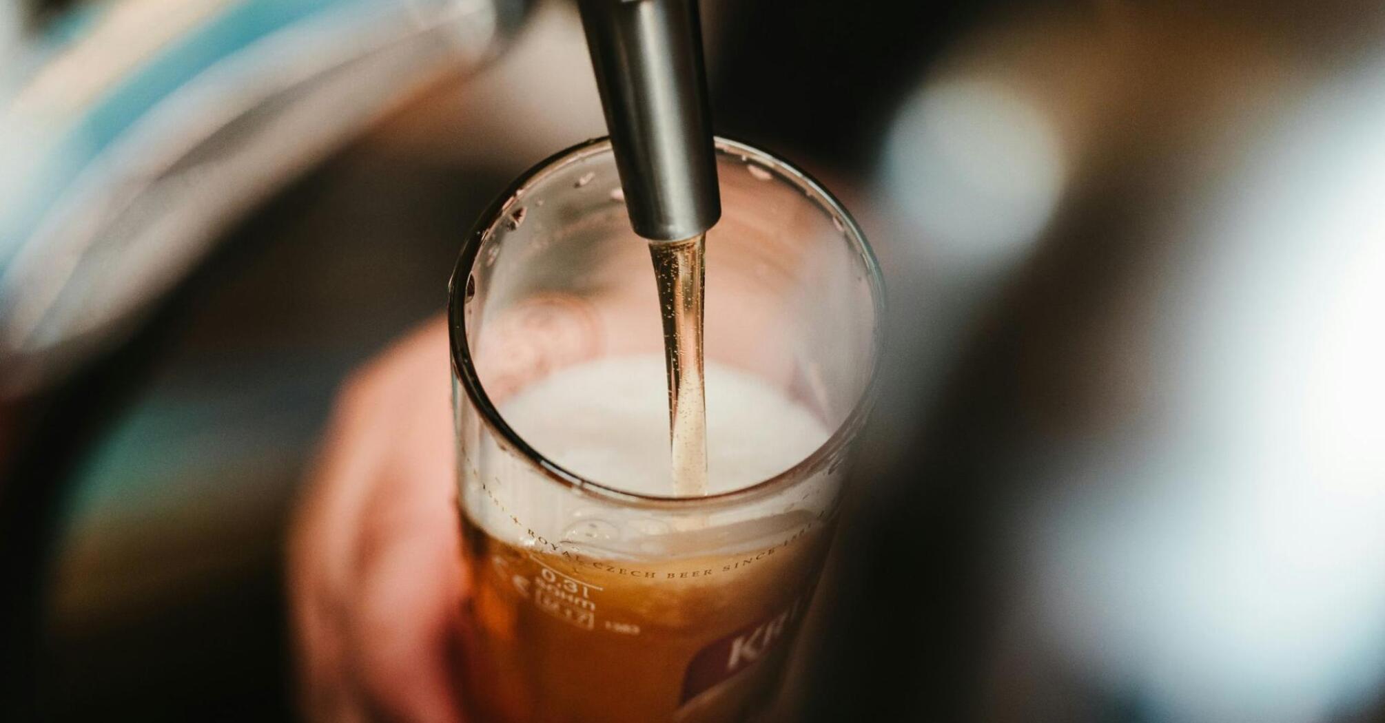 bartender pours beer on tap