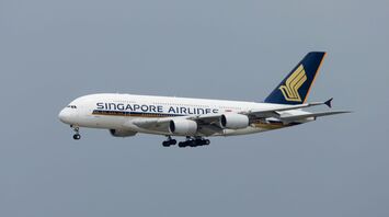 Singapore airliner in the sky