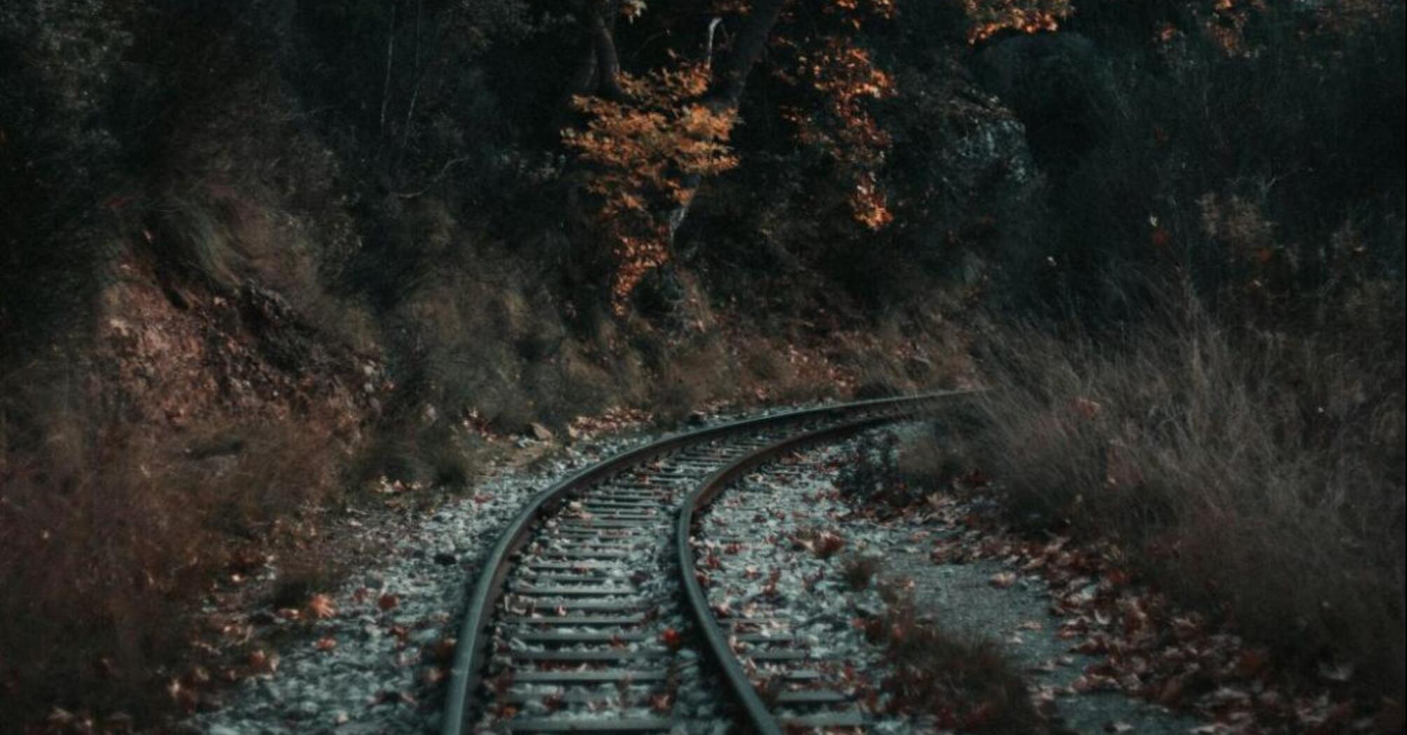 Railway track winding through a forest with autumn leaves