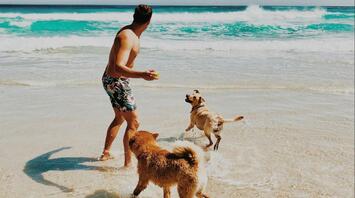 Man playing with the dogs on the beach