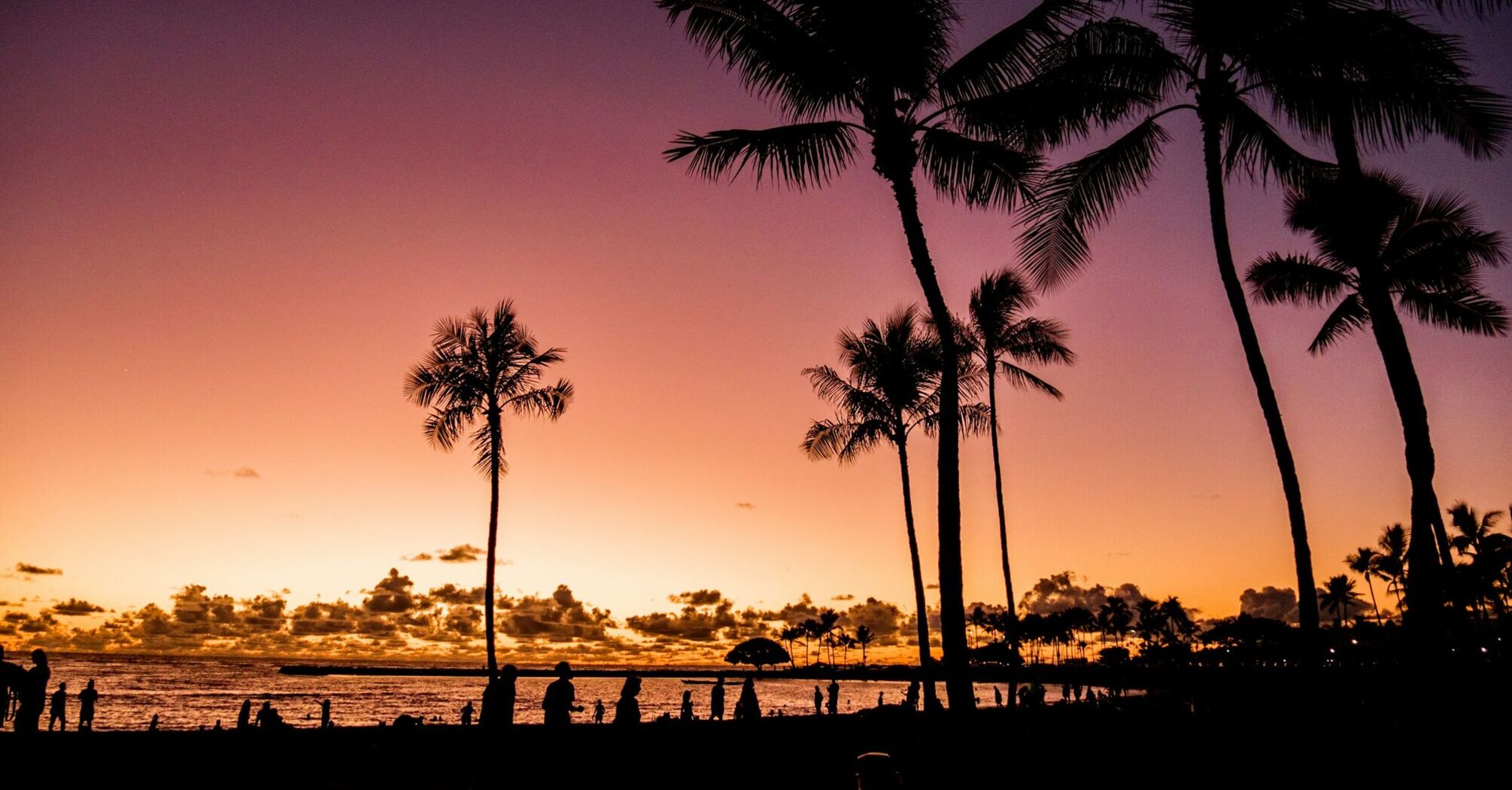 Waikiki Beach at sunset with silhouetted palm trees