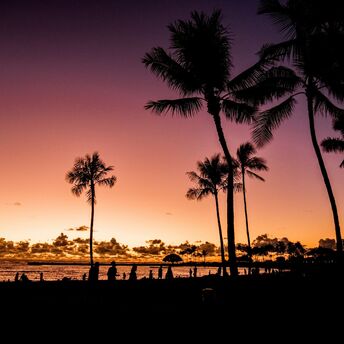 Waikiki Beach at sunset with silhouetted palm trees