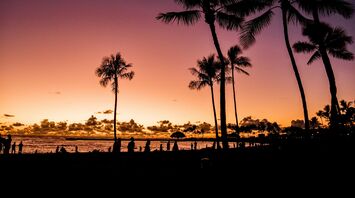 Waikiki Beach at sunset with silhouetted palm trees