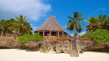 An island with palm trees and small hotel