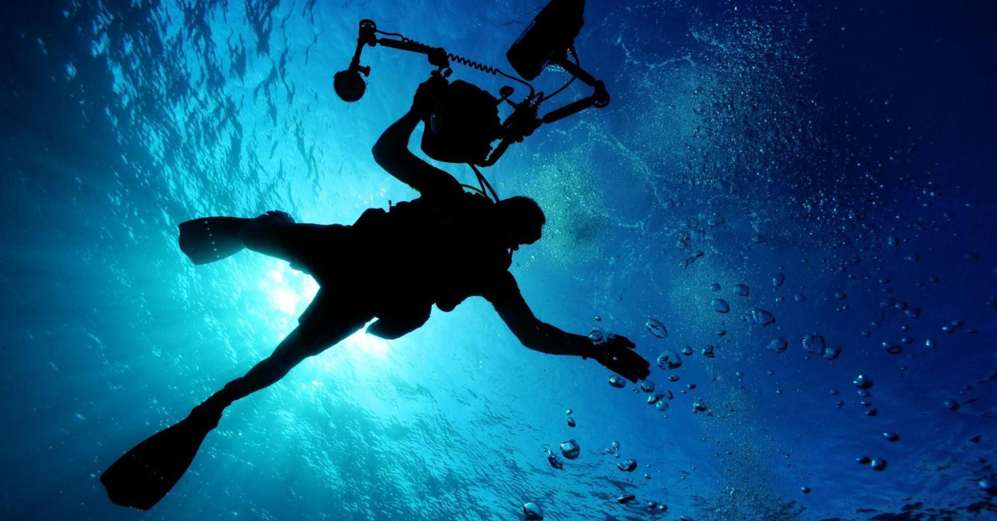 Diver in the depths of the sea