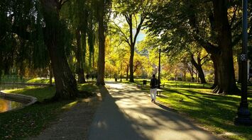 A person walking down a path in a park
