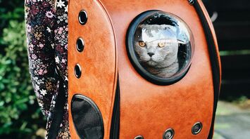 A woman wearing a floral dress carries a cat in a stylish orange carrier backpack with a clear viewing bubble
