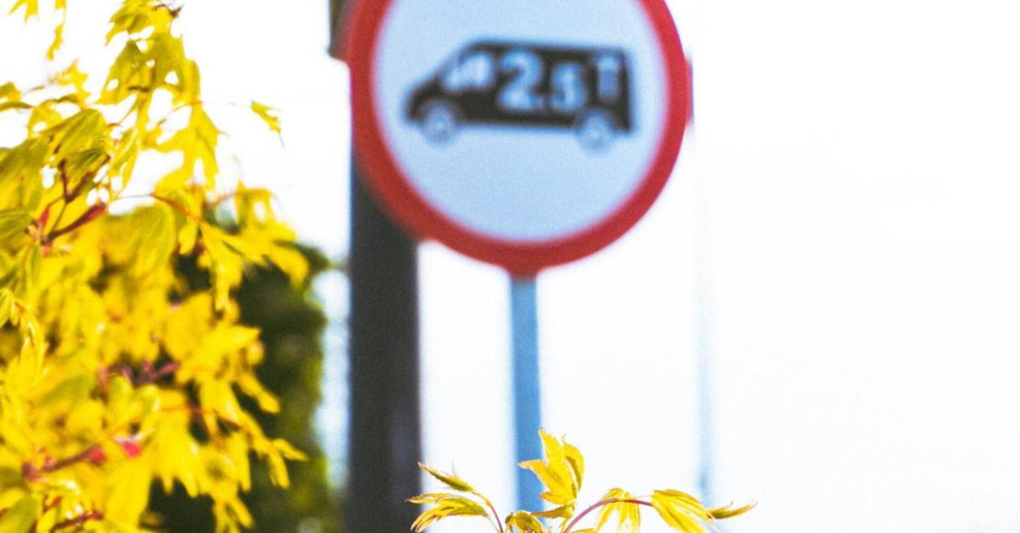 Yellow leaves with a blurred traffic sign in the background