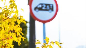 Yellow leaves with a blurred traffic sign in the background