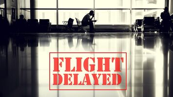 Top 15 top reasons why flights are delayed: from bad weather and waiting for luggage to strikes, bird collisions and crew tardiness