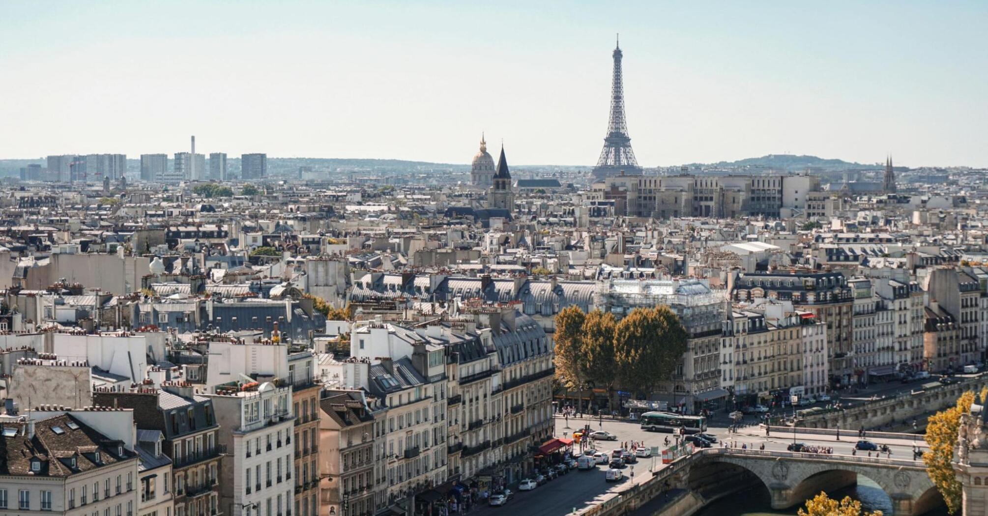 BIrd’s eye view of Paris and Eiffel Tower