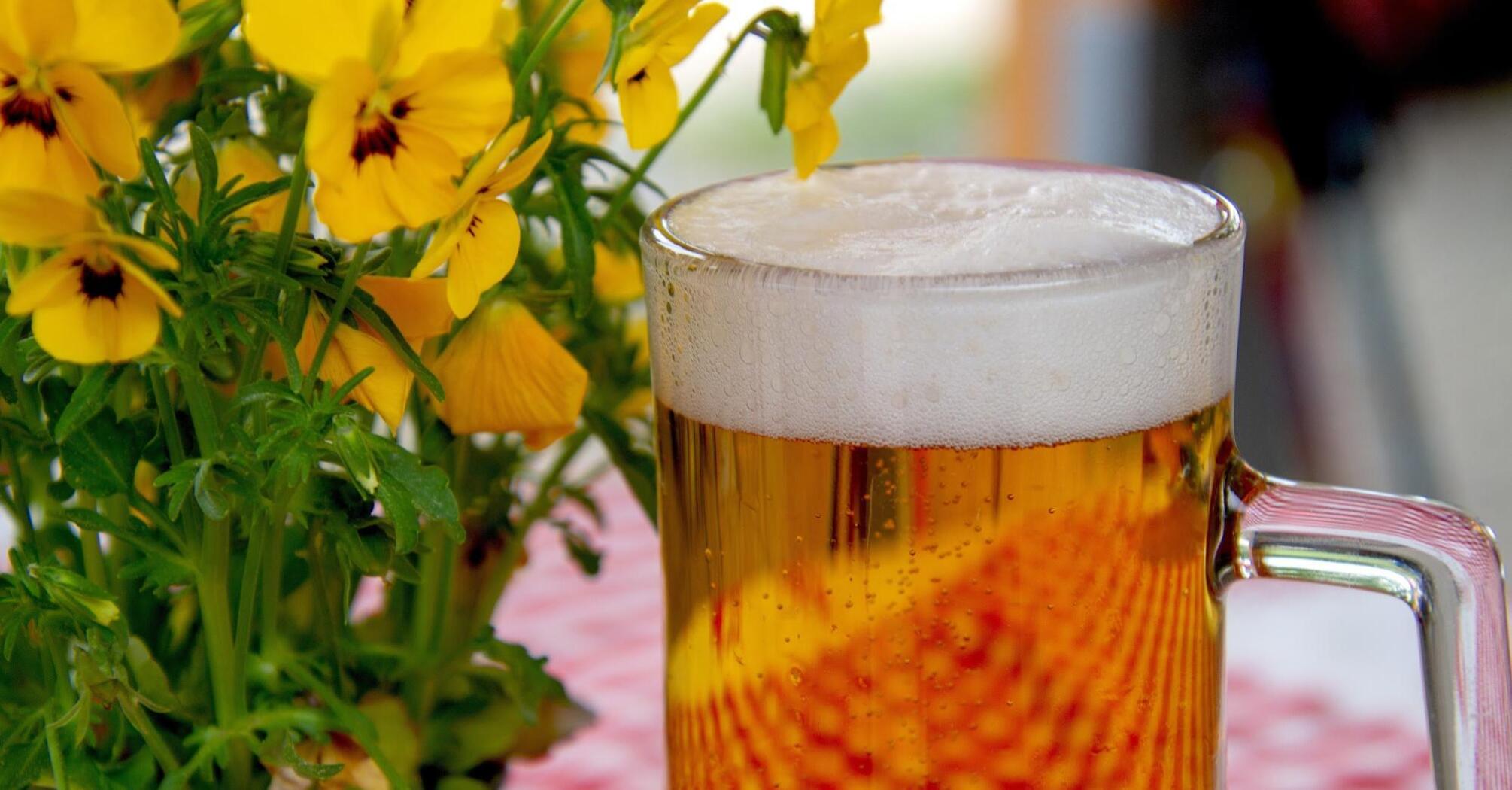A glass of light beer against a backdrop of bright flowers