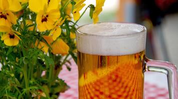 A glass of light beer against a backdrop of bright flowers