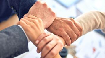 Close-up of four hands joining in solidarity over a table with documents