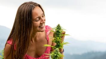 A woman enjoys a serene experience among cannabis plants in a picturesque landscape