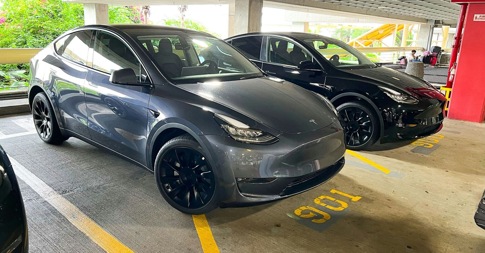 Tesla vehicles parked in a rental car lot
