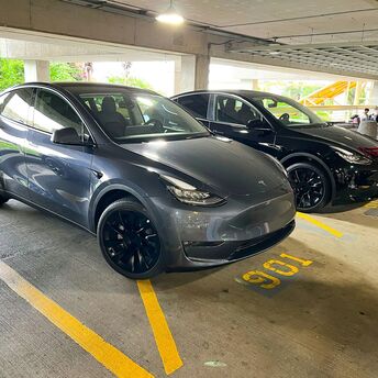 Tesla vehicles parked in a rental car lot