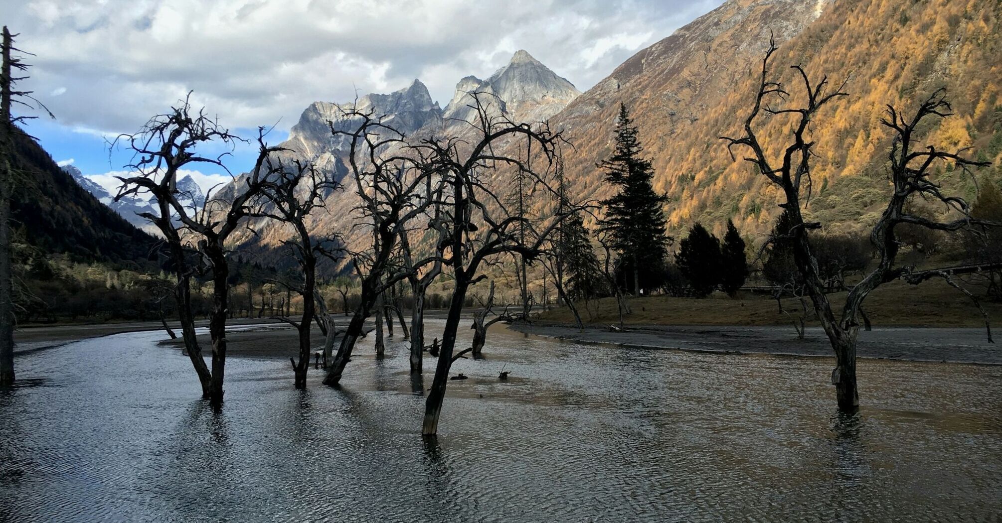 Flooded area with bare trees and mountains in the background