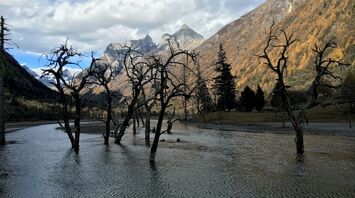 Flooded area with bare trees and mountains in the background