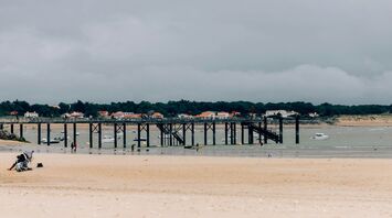 brown wooden dock on beach during daytime