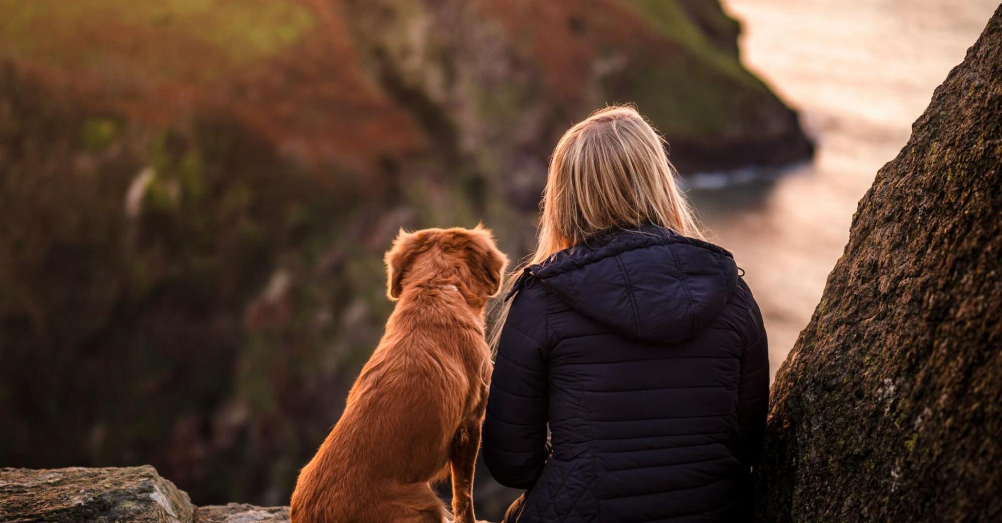 A woman and a dog sit on a cliff by the sea
