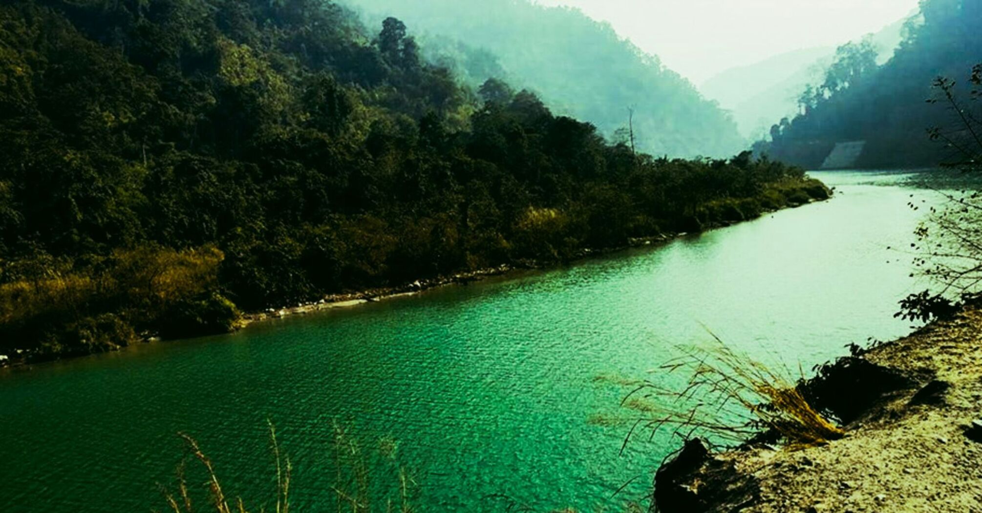 Teesta River in North Bengal with lush green surroundings