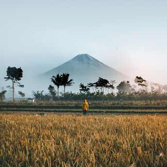 Person standing in a field with a mountain in the background