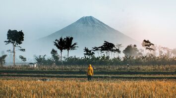 Person standing in a field with a mountain in the background