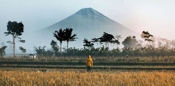 Person standing in a field with a mountain in the background