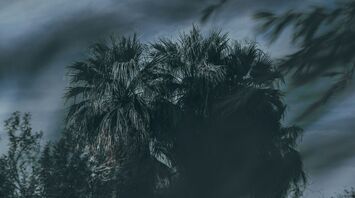 Tropical storm clouds gather over Mexico