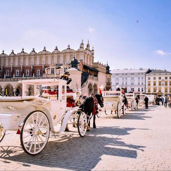 The horse riding in Krakow Rynek