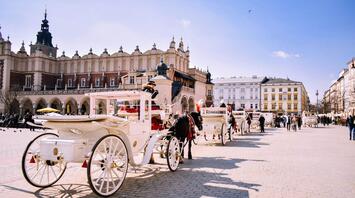 The horse riding in Krakow Rynek