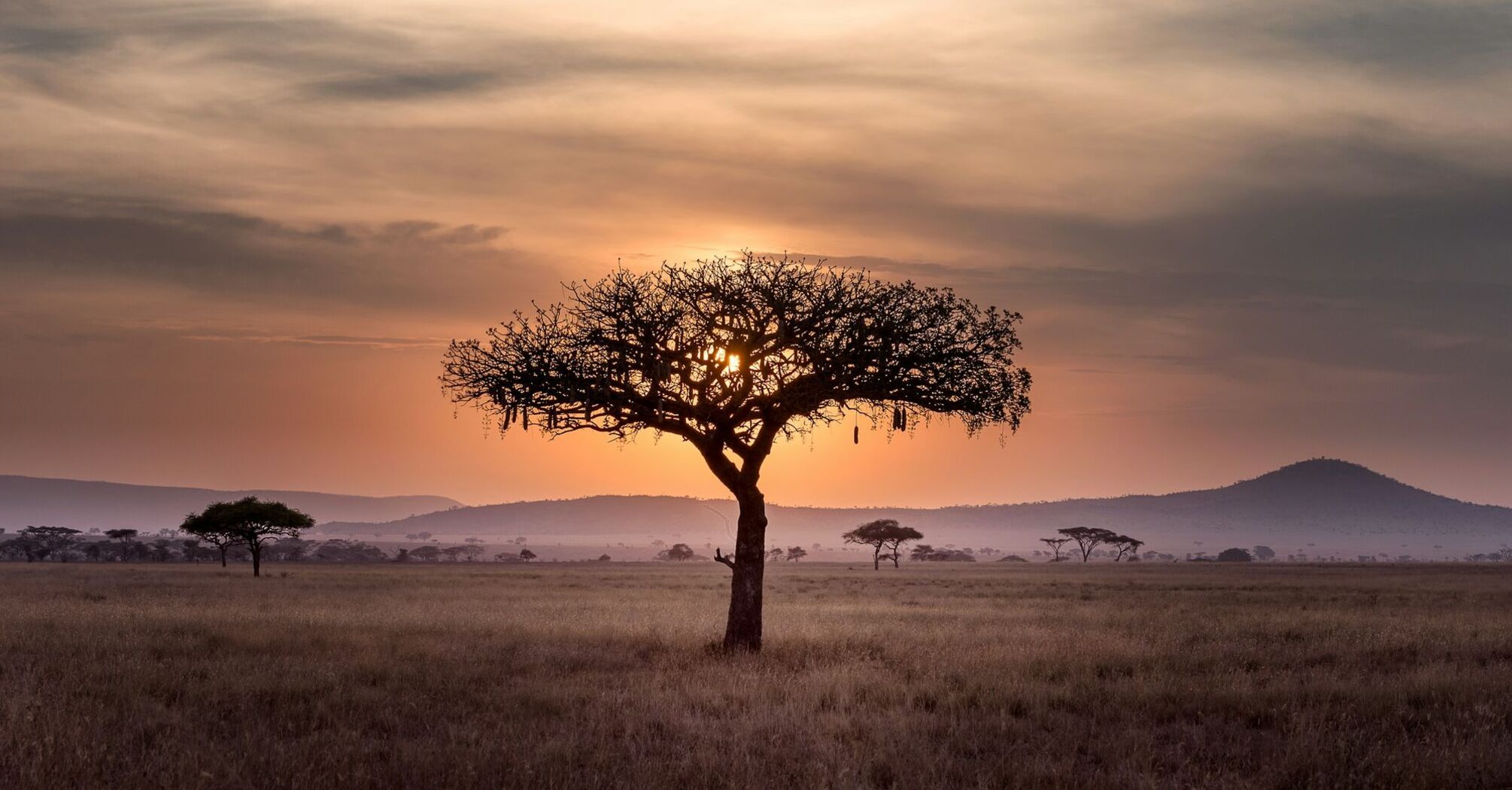 Sunset over the Serengeti in Tanzania