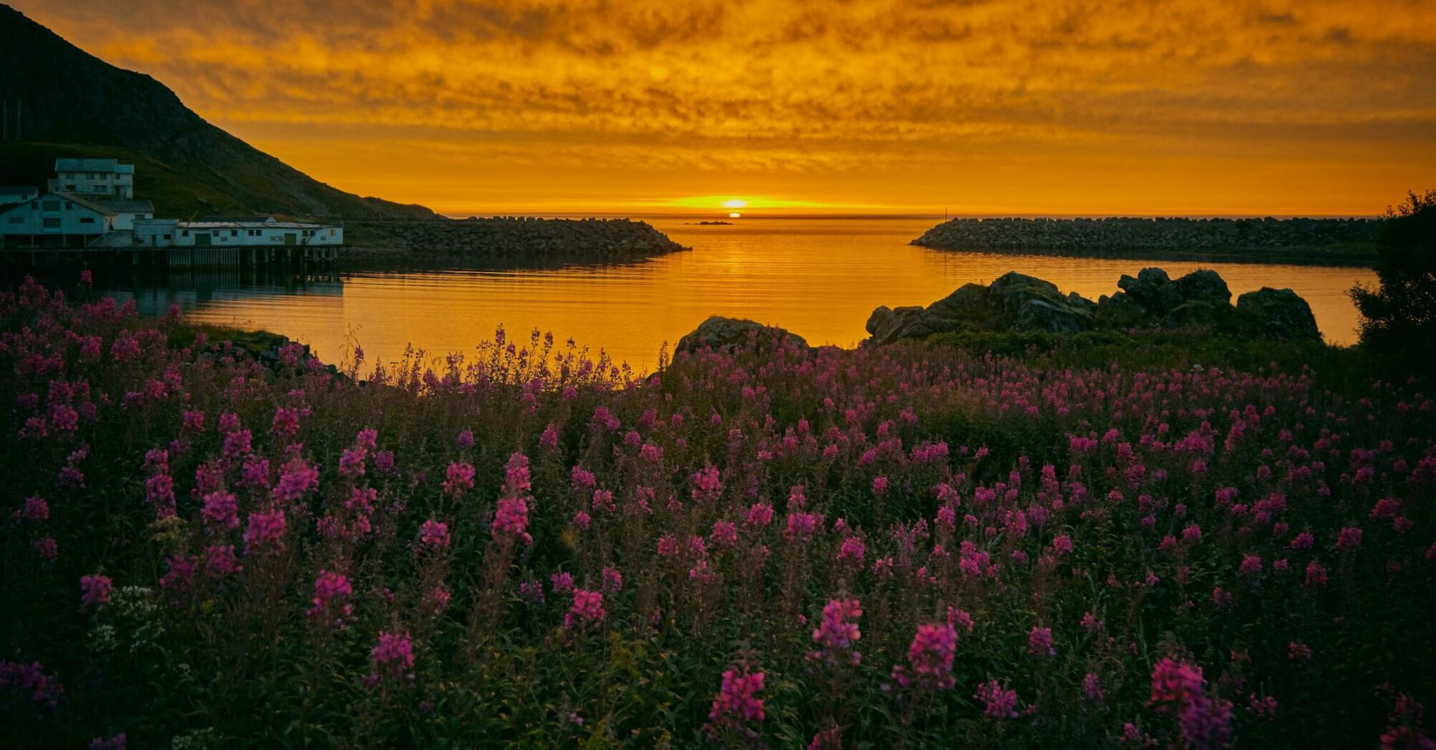 Midnight Sun, Nykvåg, Norway