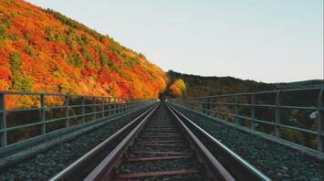 Railway tracks surrounded by vibrant autumn foliage