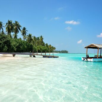 Scenic beach and clear waters in the Maldives