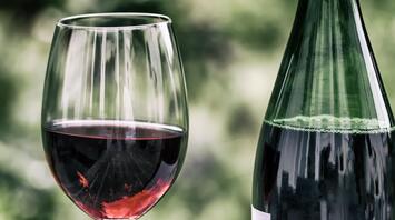 Enjoy the rich taste of local red wine in picturesque Piedmont