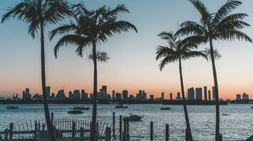 Palm trees with Florida city skyline at sunset